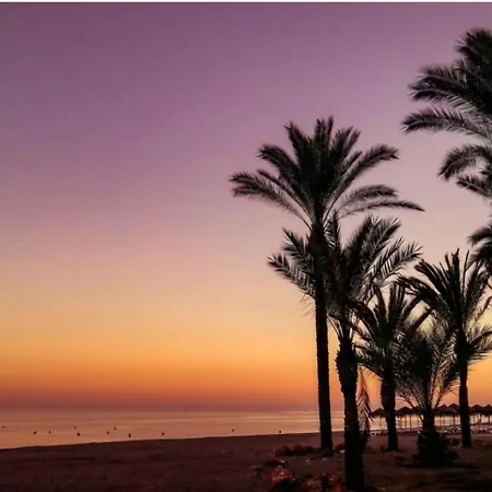 Апартаменты Club Playa Flores